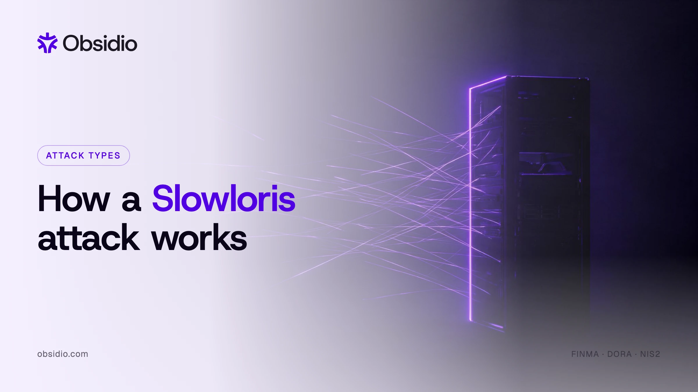 Server rack with many purple connection threads held open, illustrating how a Slowloris attack works