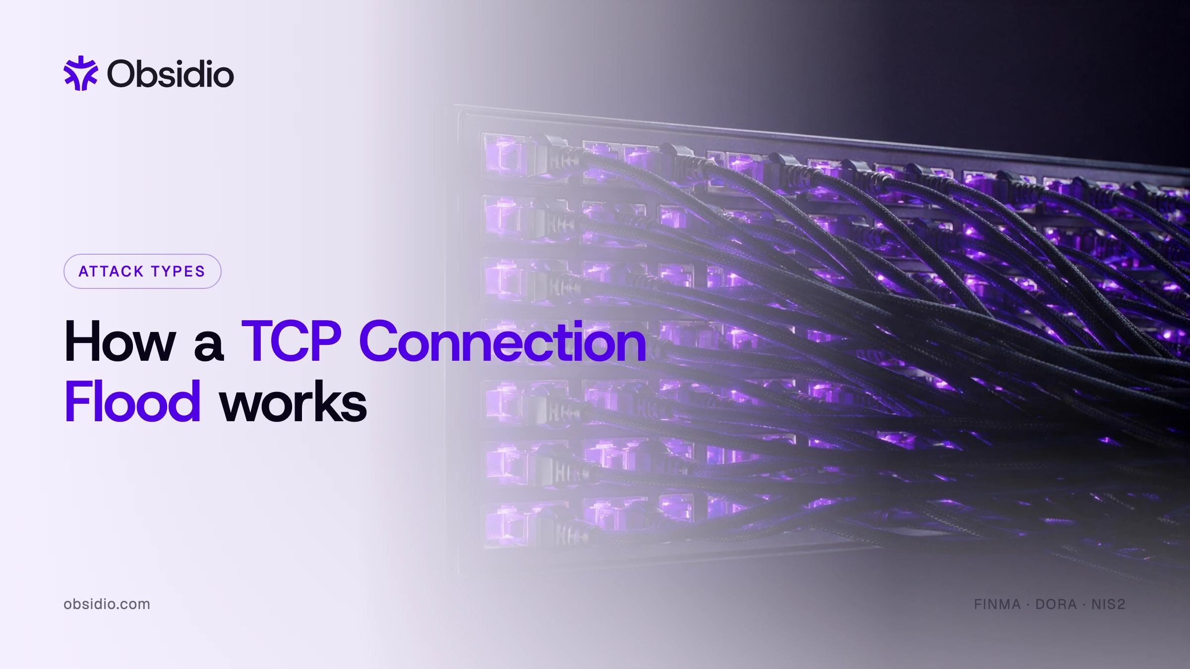 A patch panel with every port cabled and glowing purple, illustrating an exhausted connection table