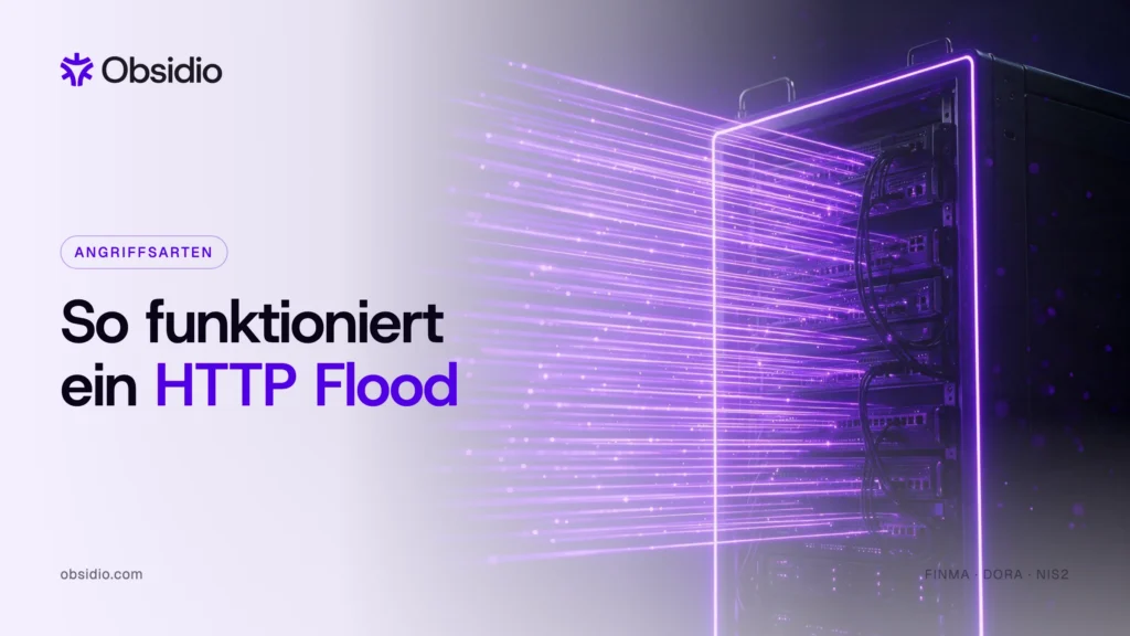 Serverschrank, getroffen von dichten parallelen identischen Lichtstrahlen – ein HTTP Flood aus lauter gültigen Anfragen
